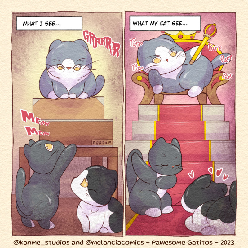 Pawesome Gatitos #7