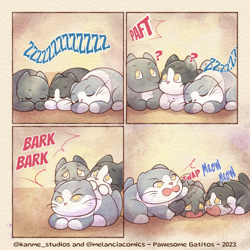 Pawesome Gatitos #13